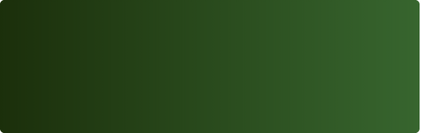Solid green color swatch