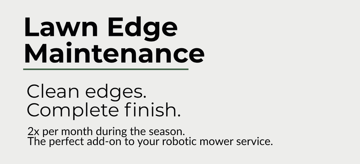 Professional lawn edge maintenance service
