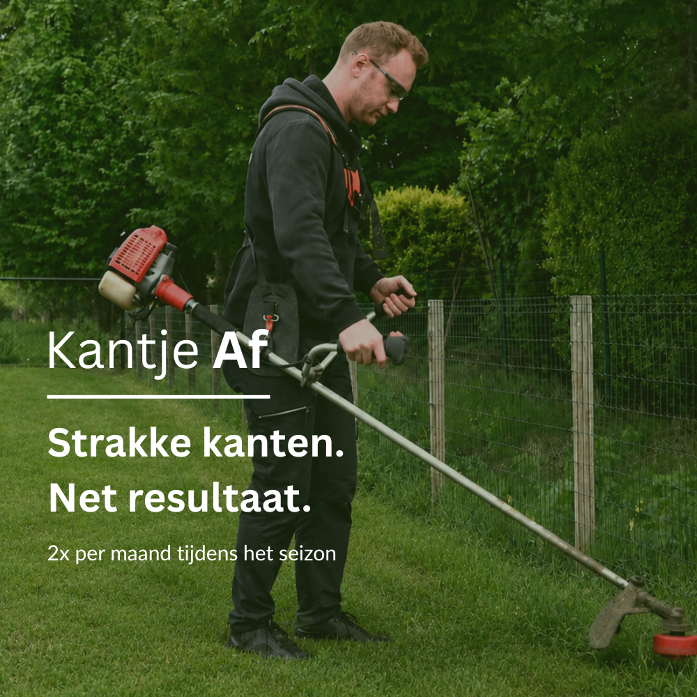 Lawn Edge Care Carefree